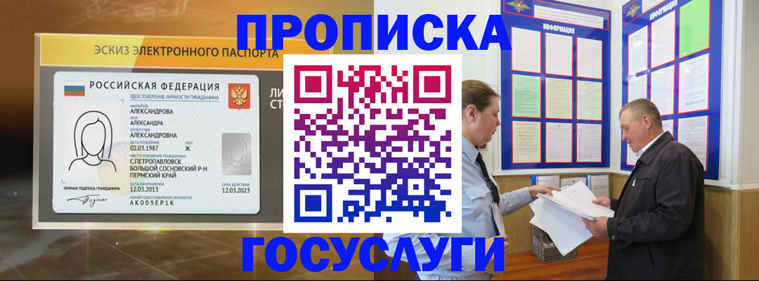 прописка поиск в Камышине